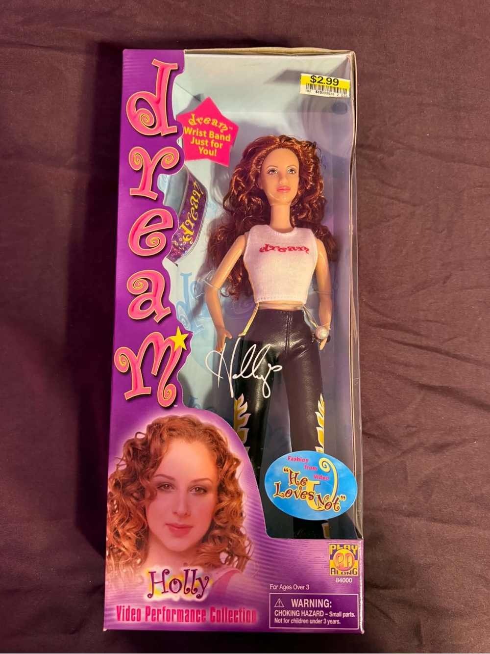 Play Along 2001 Dream Band Holly Arnstein Fashion Doll Y2K Pop Star Collector